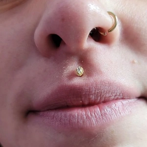 Piercing Medusa - Nordik Piercing