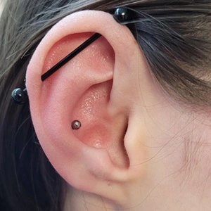 Nordik Piercing: Piercings industriel et conch