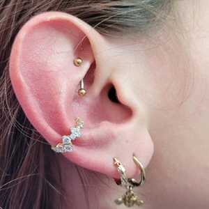 Nordik Piercing: piercing conch et piercing rook