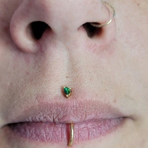Nordik Piercing: piercings narine, medusa et labret