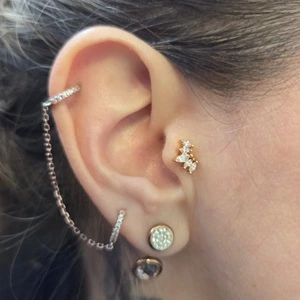 Nordik Piercing: piercings lobe, helix et tragus