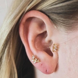 Nordik Piercing: piercings lobe et tragus