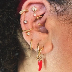 Nordik Piercing: piercings lobe, helix, conch, flat et daith