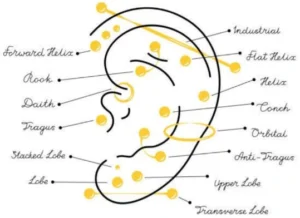 Nordik Piercing: schéma des différents piercings d'oreille